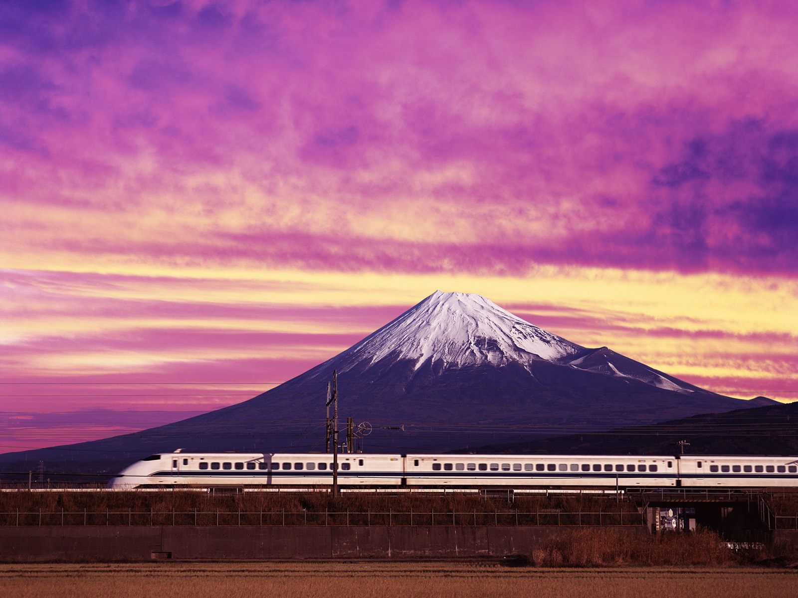 Shinkansen-Train-Japan.jpg